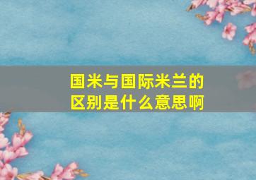 国米与国际米兰的区别是什么意思啊