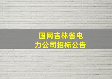 国网吉林省电力公司招标公告