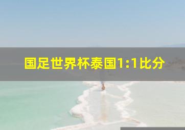 国足世界杯泰国1:1比分