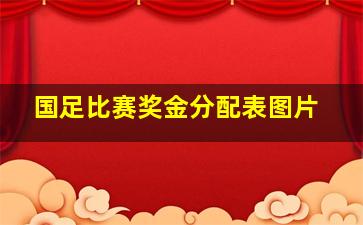 国足比赛奖金分配表图片