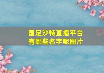 国足沙特直播平台有哪些名字呢图片