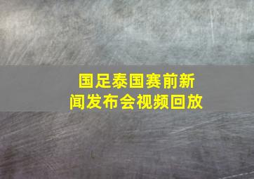 国足泰国赛前新闻发布会视频回放