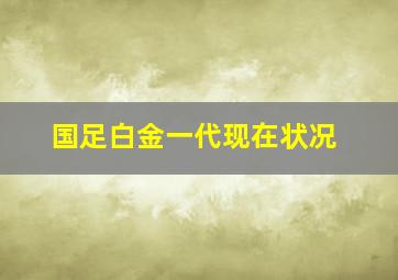 国足白金一代现在状况