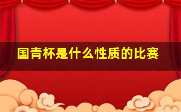 国青杯是什么性质的比赛