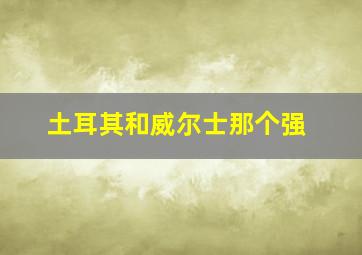 土耳其和威尔士那个强