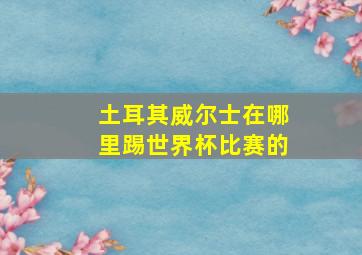 土耳其威尔士在哪里踢世界杯比赛的