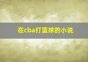 在cba打篮球的小说