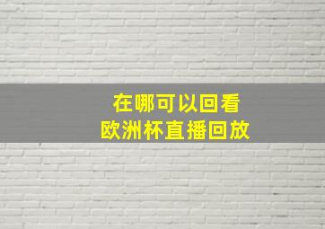 在哪可以回看欧洲杯直播回放