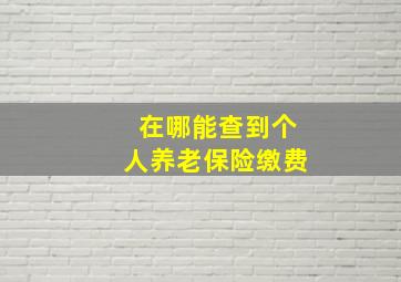 在哪能查到个人养老保险缴费