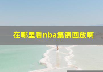 在哪里看nba集锦回放啊