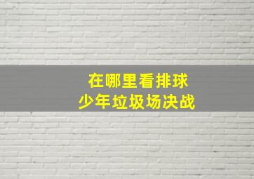 在哪里看排球少年垃圾场决战