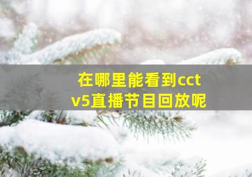 在哪里能看到cctv5直播节目回放呢