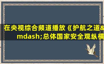 在央视综合频道播放《护航之道—总体国家安全观纵横》