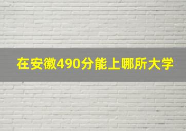 在安徽490分能上哪所大学