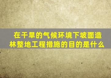 在干旱的气候环境下坡面造林整地工程措施的目的是什么