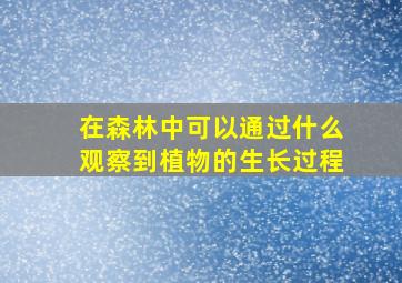 在森林中可以通过什么观察到植物的生长过程