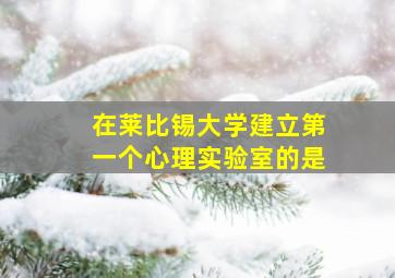 在莱比锡大学建立第一个心理实验室的是