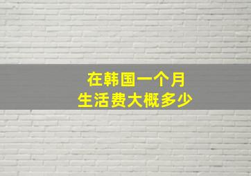 在韩国一个月生活费大概多少