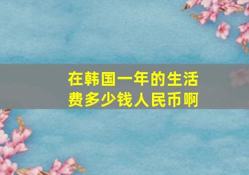 在韩国一年的生活费多少钱人民币啊