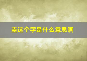 圭这个字是什么意思啊