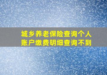 城乡养老保险查询个人账户缴费明细查询不到