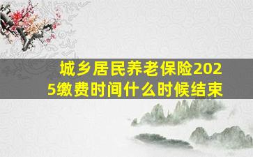 城乡居民养老保险2025缴费时间什么时候结束