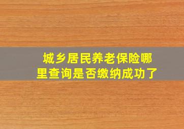 城乡居民养老保险哪里查询是否缴纳成功了