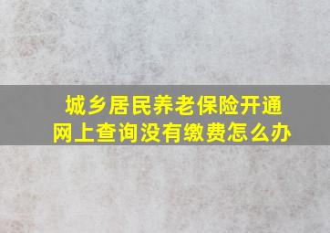 城乡居民养老保险开通网上查询没有缴费怎么办