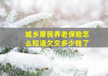 城乡居民养老保险怎么知道欠交多少钱了