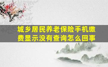 城乡居民养老保险手机缴费显示没有查询怎么回事