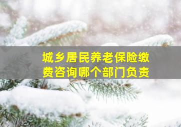 城乡居民养老保险缴费咨询哪个部门负责