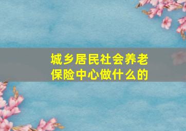 城乡居民社会养老保险中心做什么的