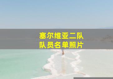 塞尔维亚二队队员名单照片