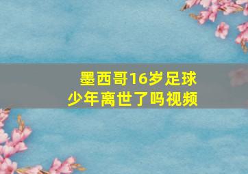 墨西哥16岁足球少年离世了吗视频