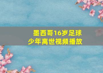 墨西哥16岁足球少年离世视频播放