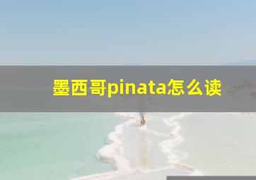 墨西哥pinata怎么读