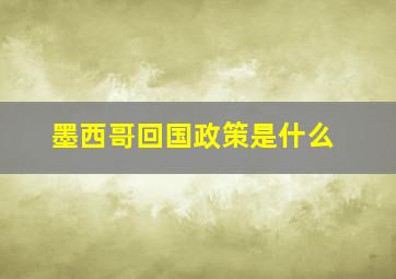 墨西哥回国政策是什么