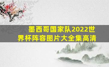 墨西哥国家队2022世界杯阵容图片大全集高清