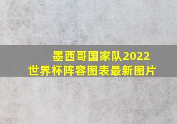 墨西哥国家队2022世界杯阵容图表最新图片