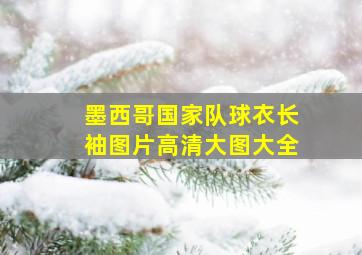 墨西哥国家队球衣长袖图片高清大图大全