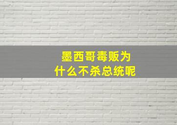 墨西哥毒贩为什么不杀总统呢