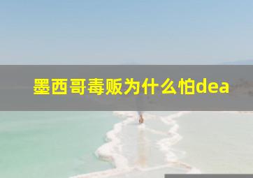 墨西哥毒贩为什么怕dea