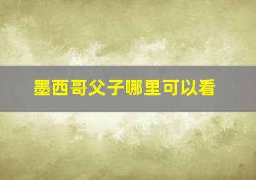 墨西哥父子哪里可以看