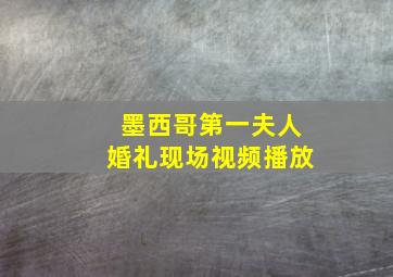 墨西哥第一夫人婚礼现场视频播放