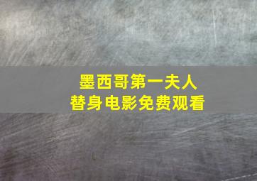 墨西哥第一夫人替身电影免费观看