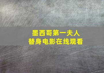 墨西哥第一夫人替身电影在线观看