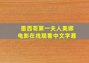 墨西哥第一夫人美娜电影在线观看中文字幕