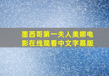 墨西哥第一夫人美娜电影在线观看中文字幕版