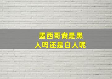 墨西哥裔是黑人吗还是白人呢