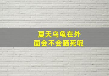 夏天乌龟在外面会不会晒死呢